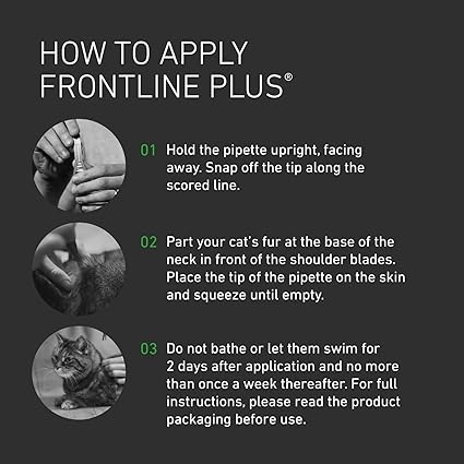 FRONTLINE Plus Flea & Tick Treatment for Cats and Ferrets - 6 Pipettes