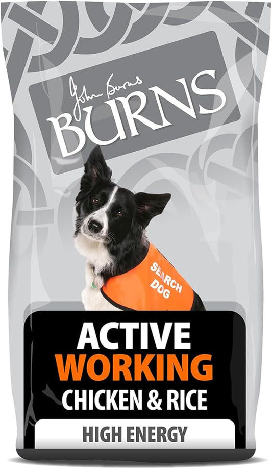 Burns Pet Nutrition Hypoallergenic Complete Dry Dog Food Adult and Senior Dog Active For Working Dogs Chicken and Rice 12 kg