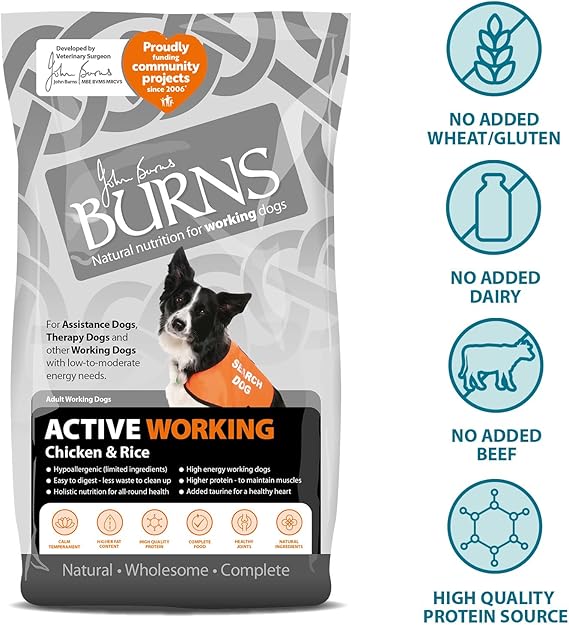 Burns Pet Nutrition Hypoallergenic Complete Dry Dog Food Adult and Senior Dog Active For Working Dogs Chicken and Rice 12 kg