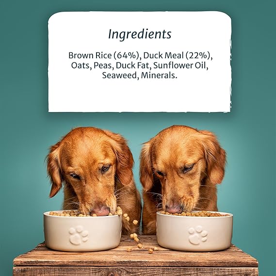 Burns Pet Nutrition Hypoallergenic Complete Dry Dog Food Adult and Senior Dog Sensitive with Duck and Brown Rice 6 kg