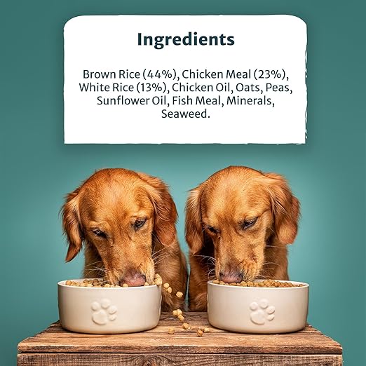 Burns Pet Nutrition Hypoallergenic Complete Dry Dog Food Adult and Senior Dog Small/Toy Breed Chicken and Rice 2 kg