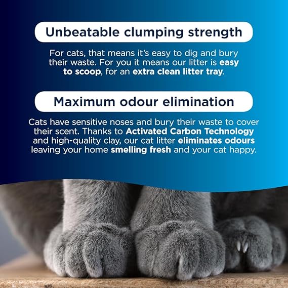 Ever Clean Clumping Cat Litter, Multiple Cat, Scented for long-lasting freshness, Unbeatable Clumping Strength, 10L