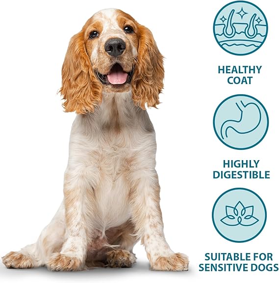 Burns Pet Nutrition Hypoallergenic Complete Dry Dog Food Adult and Senior Dog Sensitive with Duck and Brown Rice 2 kg