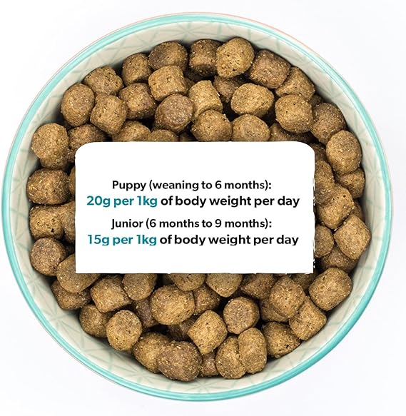 Burns Pet Nutrition Hypoallergenic Complete Dry Dog Food Puppy Original Chicken and Rice 6 kg