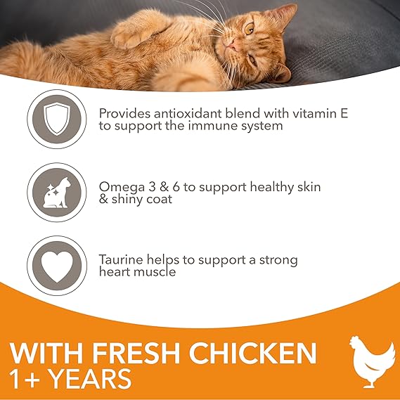 IAMS Complete Dry Cat Food for Adult 1+ Cats with Chicken 3 kg