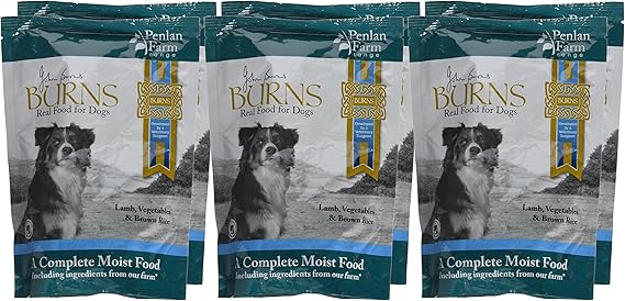 Burns Pet Nutrition Hypoallergenic Complete Wet Food Adult Dog Penlan Pouch Lamb Brown Rice & Vegetables 6x400 gm